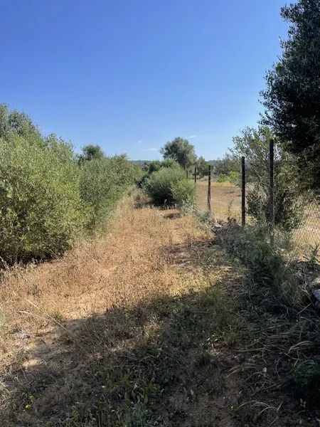 Fenced Plot with easy access and Basic Project between Campos and Porreres — photo 2