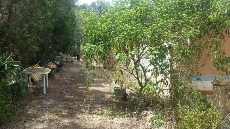 For sale: finca with legalized house, water and electricity — photo 12