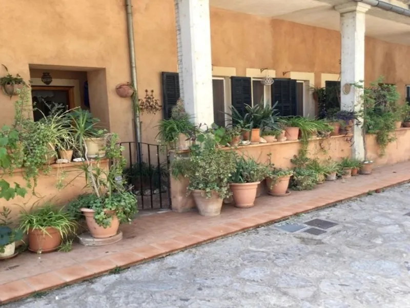 Apartment in Bunyola, Province of Balearic Islands — photo 5