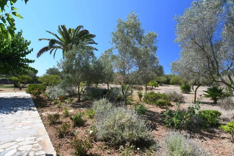 Practical and modern renovated country house in one of the best areas of Santanyi — photo 7