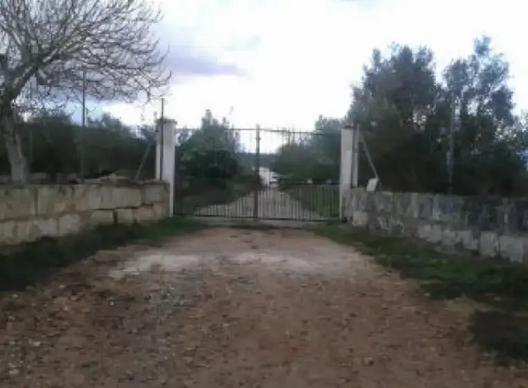 Independent chalet in Son Fullana, in the municipality of Llucmajor, Balearic Islands — photo 1
