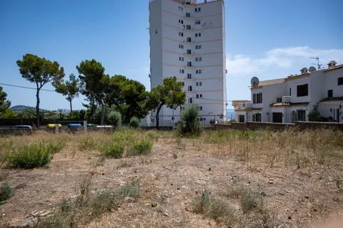 Land in Palmanova, Mallorca — photo 8