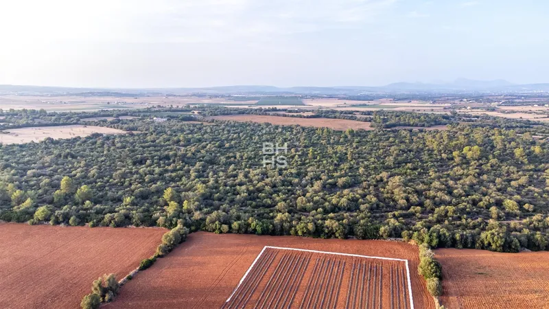 Rustic Finca for sale in Vilafranca de Bonany — photo 5