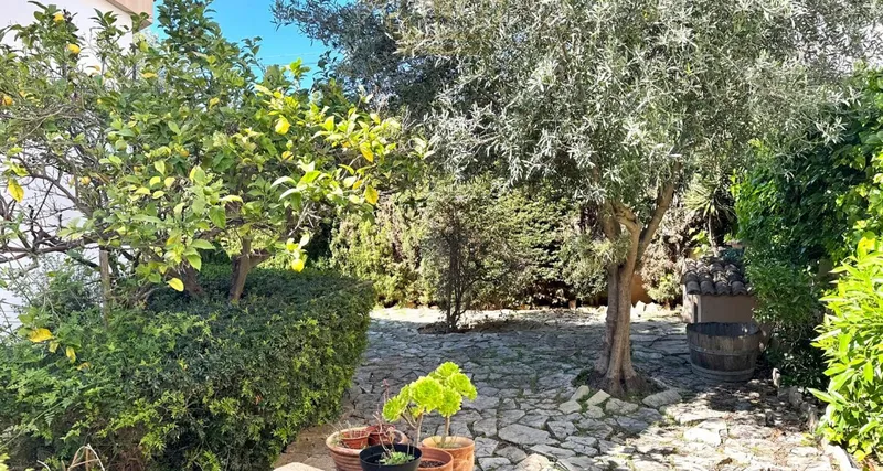 Investment in Palma Bonanova - Villa zur Sanierung oder zum Neubau als Mehrfamilienhaus — photo 8