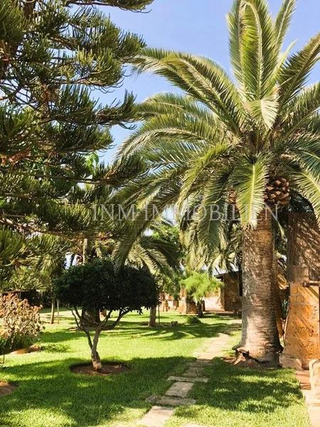 260m² finca for sale with 6 rooms, 3 bathrooms, pool and garden — photo 7