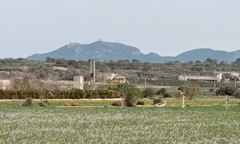 Country Plot in Campos — photo 1