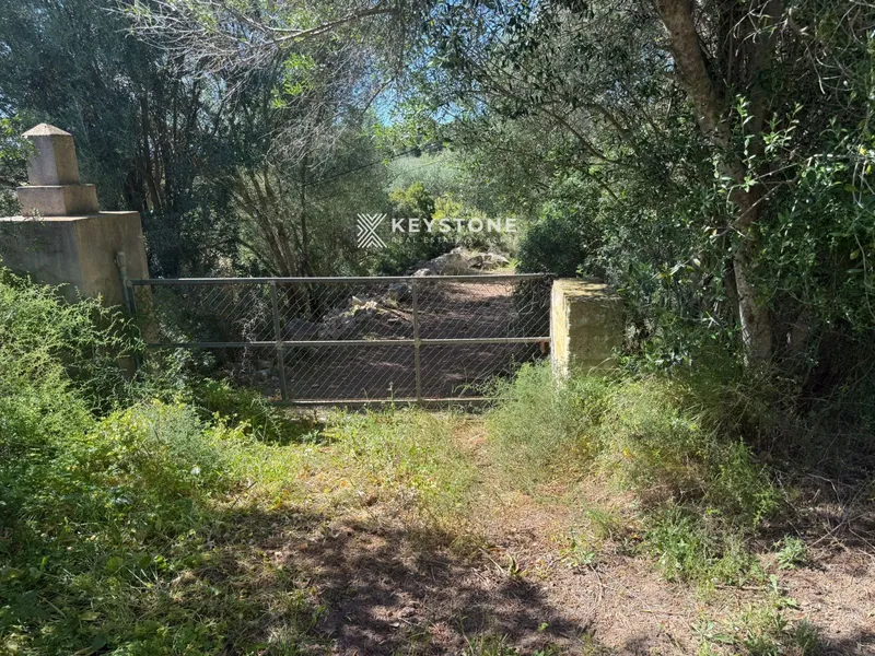 Plot — photo 2