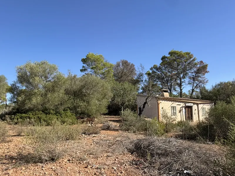 Finca rústica con construcción y aljibe en Llucmajor, con muy buen acceso — photo 3