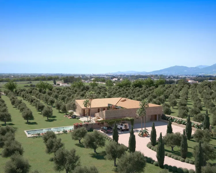 Vineyard plot with approved finca project & Tramuntana views in Binissalem — photo 3