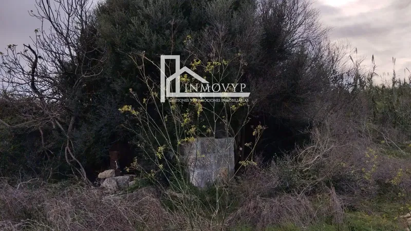 The price of 39,900 euros is for the 3 plots. — photo 5