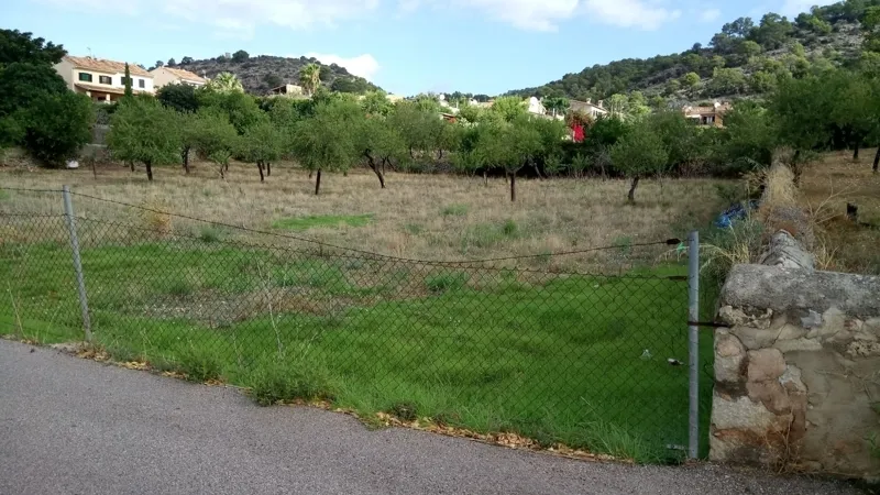 Plot for sale in Calvia — photo 2