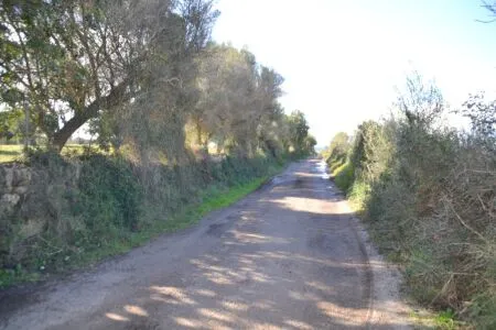 Rustic property - Manacor (Afueras), Built Surface 10m², Plot Surface 42985m² — photo 6
