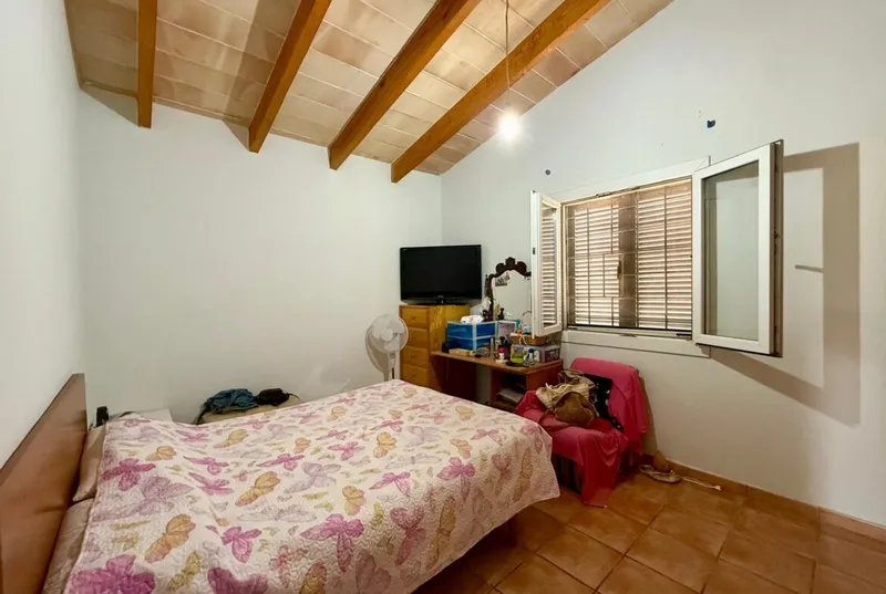 Finca with dwelling, gesa electricity and water in Manacor — photo 5