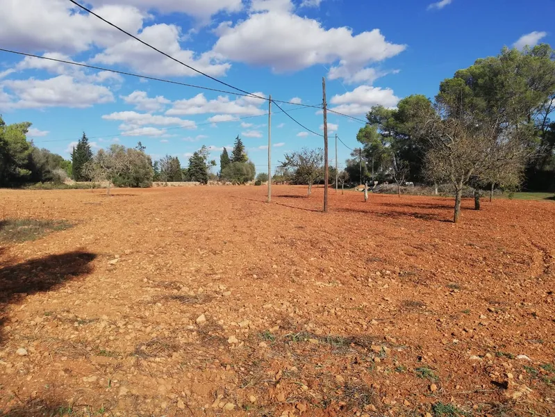 Buildable rustic plot. Fully fenced — photo 3