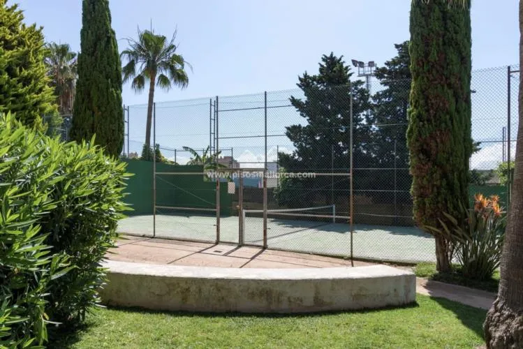 Apartment in Palma de Mallorca — photo 9