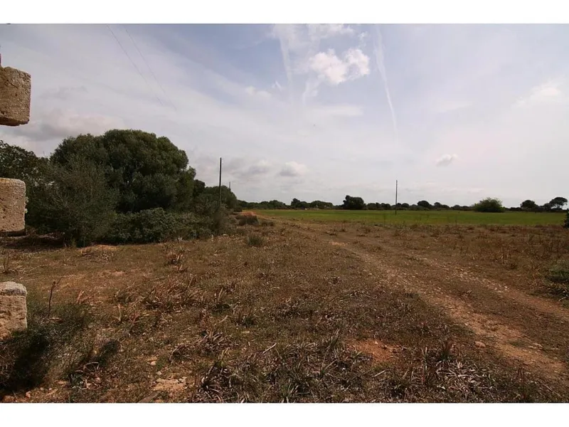 Rustic house for sale in Llucmajor of 200 m2 — photo 11