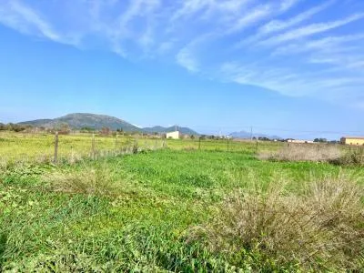 Rustic property - Sa Pobla (Pobla (Sa)), Built Surface 97m², Plot Surface 9153m², 1 Room — photo 4
