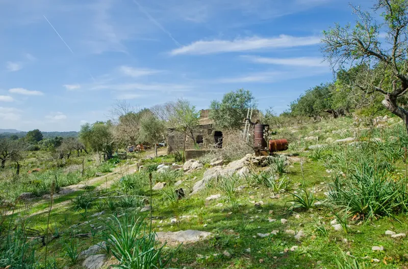 Finca to renovate in the hills before Artà — photo 7