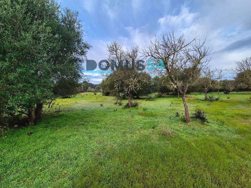 Rustic land for building in Buger — photo 6