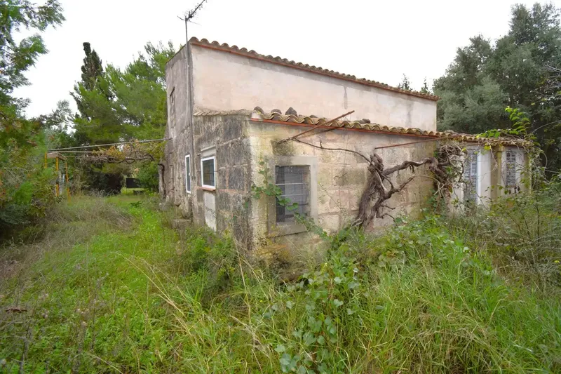 Rustic estate with a plot of 50,419 m² in Muro — photo 7