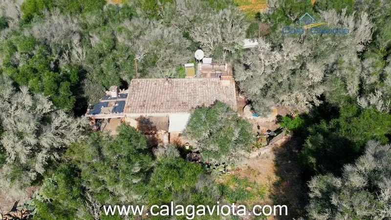 Rural or Farmhouse in ses Salines, Province of Balearic Islands — photo 2