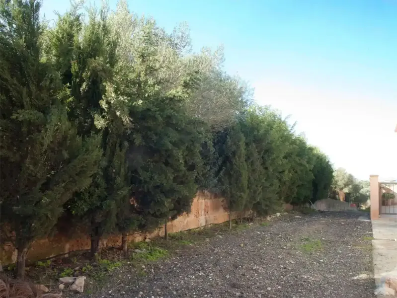 Finca de 17300m2 de terreno con diversas edificaciones, casa principal de unos 180m2 mas terrazas y 800m2 en varias naves. — photo 12