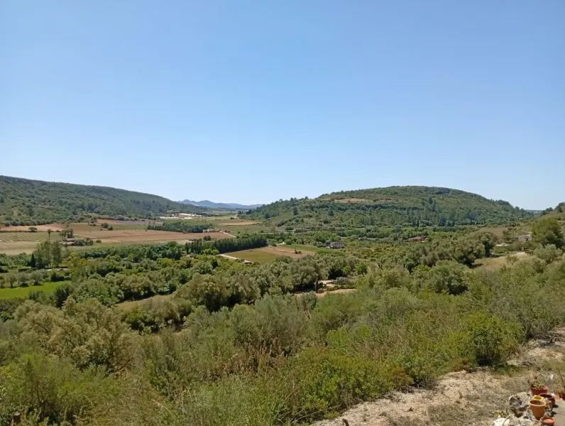Top Small Finca with Fantastic Views and Tranquillity — photo 6