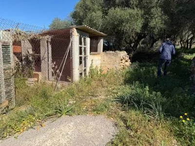 Rural land in Santa Margalida, plot surface 25,574.5 m² — photo 2