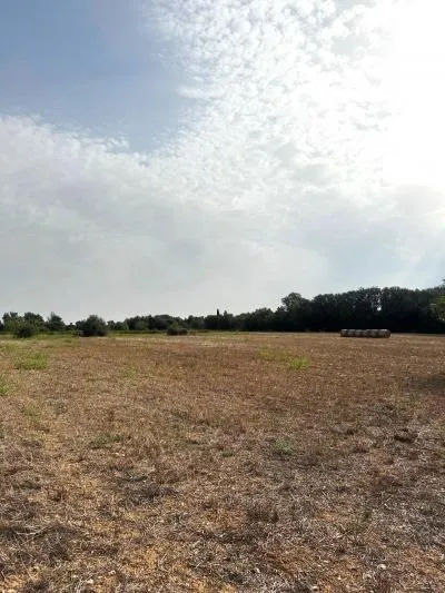Rural Land - Sineu, Plot Surface 21,300 m² — photo 11