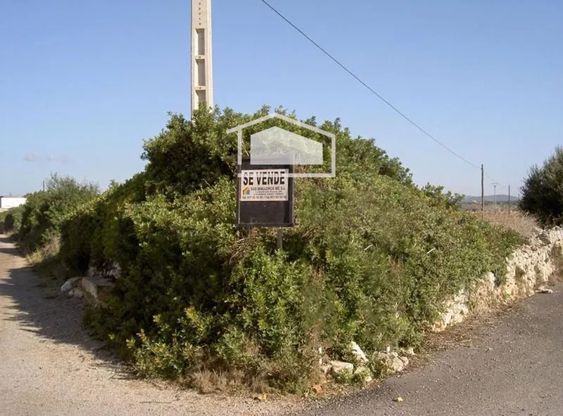 Rustic finca for sale in Ses Salines with 15,000 m2 — photo 6