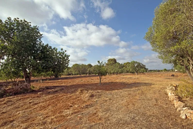 Campos, a large rural estate with potential F02906 — photo 5