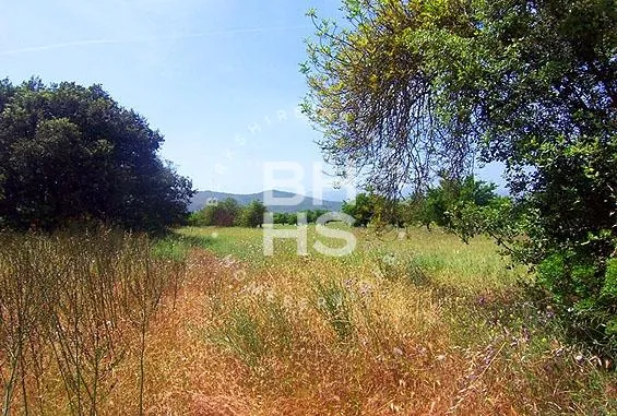 Country plot for sale in Inca — photo 4