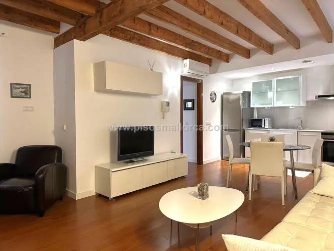 Apartment in Palma de Mallorca — photo 3