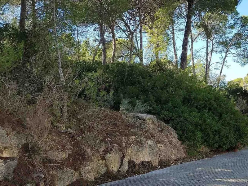 Land in Cala Vinyes, Mallorca — photo 1