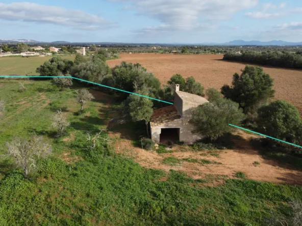 Rustic Fincas — photo 5