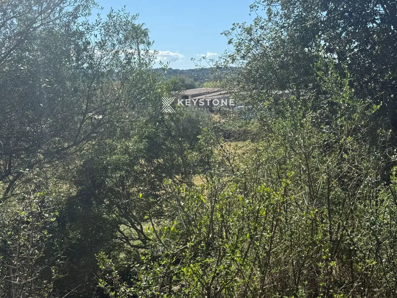 Plot — photo 5
