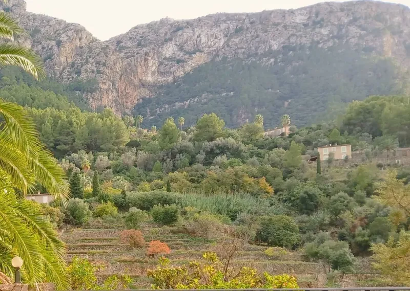 Bar transfer in Deià — photo 8
