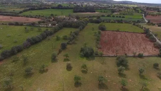 Urbanizable land - Felanitx (SHorta - Cas Concos des Cavaller) — photo 9
