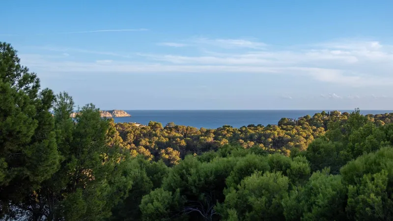 Villa for rent in Peguera / Paguera, Calvià, Mallorca — photo 4