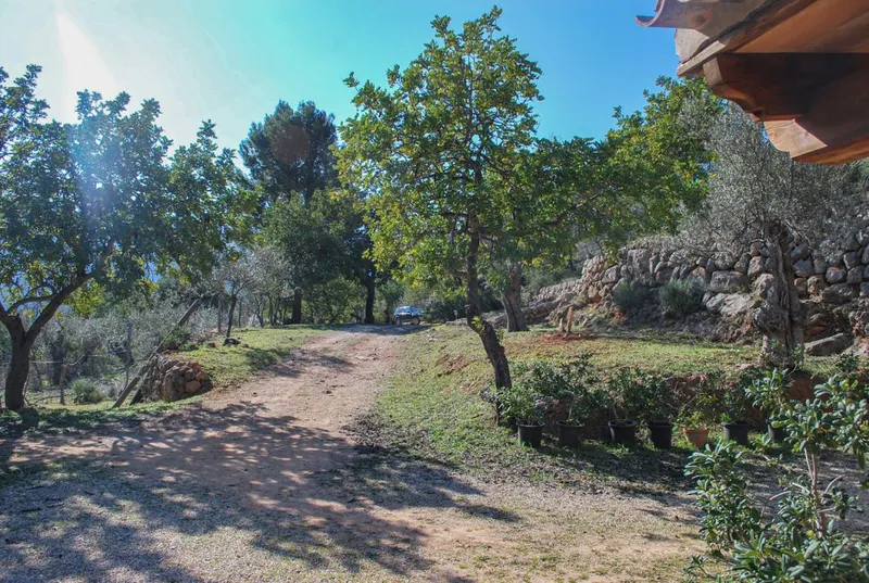 Cozy country house in the outskirts with stunning views to Sóller — photo 5