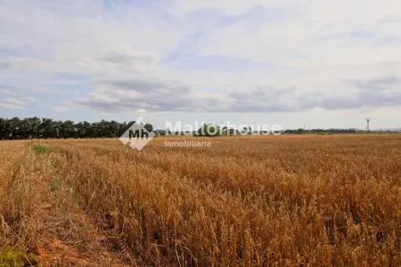 Urbanizable land - Muro (Son Serra), Plot Surface 15,324 m² — photo 3