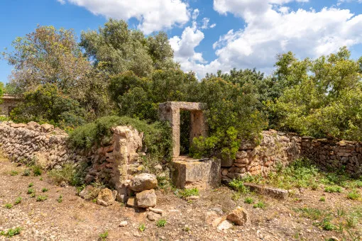 Vallgornera, rustic finca with great potential in Vallgornera — photo 11