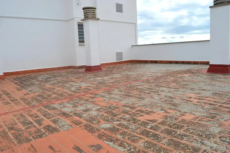 In the Portixol / Molinar area, one of the most sought-after in the city, we offer this property in impeccable condition, ready to move in — photo 3
