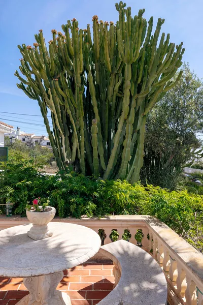 Charming Mediterranean villa steps from Cala Vinyes beach — photo 11