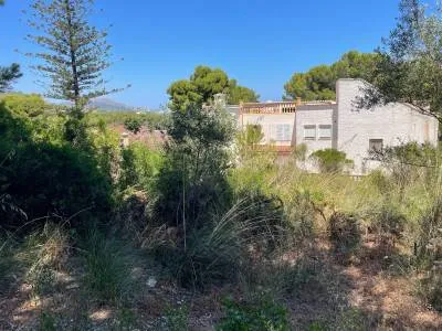 Rural land in Santa Margalida, plot surface 25,574.5 m² — photo 9