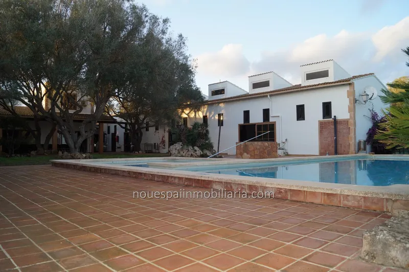Rustic finca in Petra — photo 3