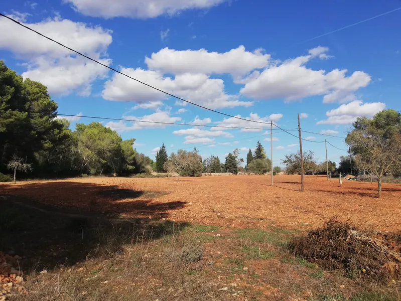 Buildable rustic plot. Fully fenced — photo 8