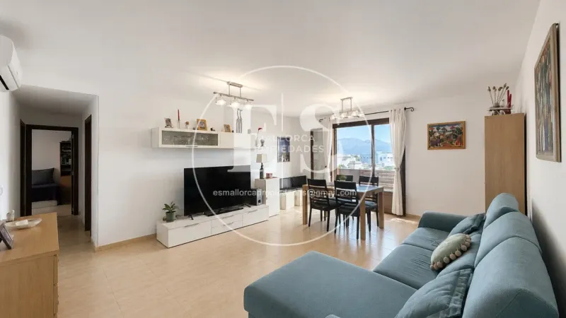 Apartment on Carrer de l'Organista Rafel Femenía — photo 3