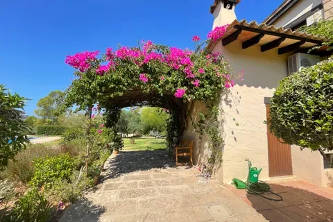 Finca in Andratx, Mallorca — photo 11