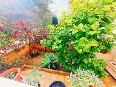 Ground floor apartment - Calvià (Palmanova) — photo 4